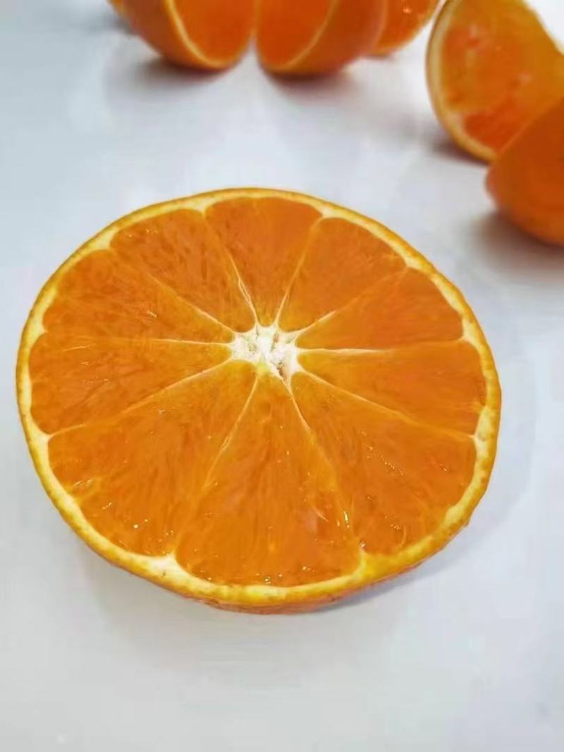 黄果柑，明日见