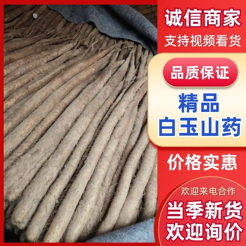 精品白玉山药货源充足产地直发质量保证诚信经营欢迎咨询
