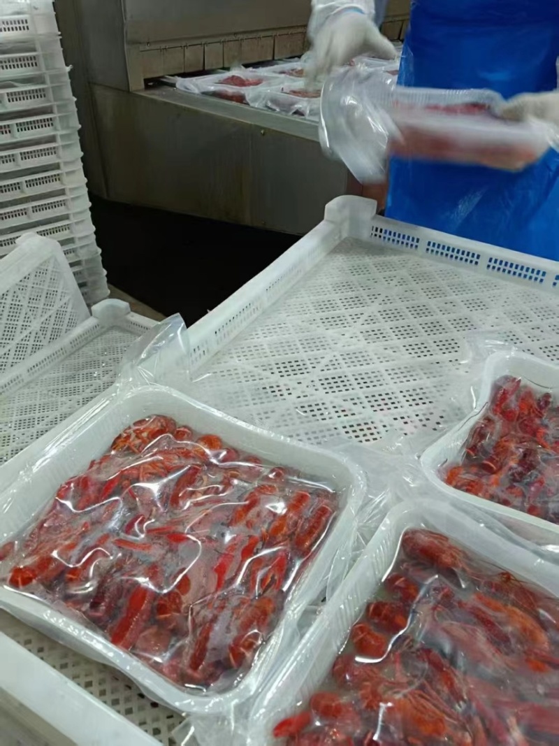 小龙虾液氮冷冻虾产地直供量大从优对接餐饮超市批发商