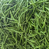 精品八号线大量上市