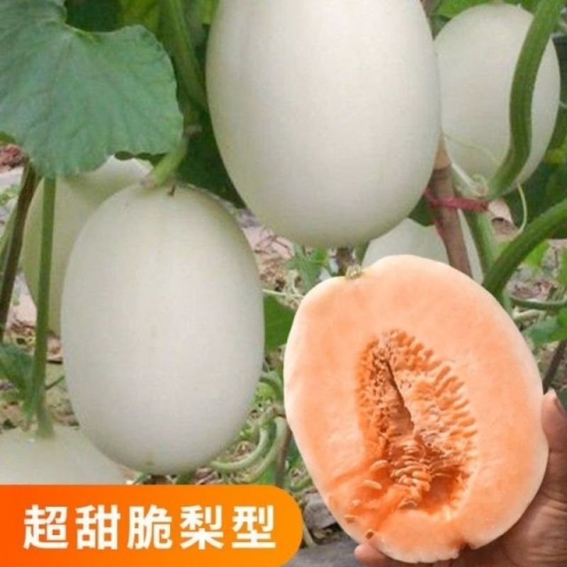 红金蜜东方蜜对接电商供应链大型商超口感清脆多汁