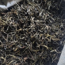 普洱茶