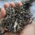 普洱茶
