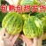 【推荐】花蕾甜瓜花美人蜜甜多汁实力代办代发全国