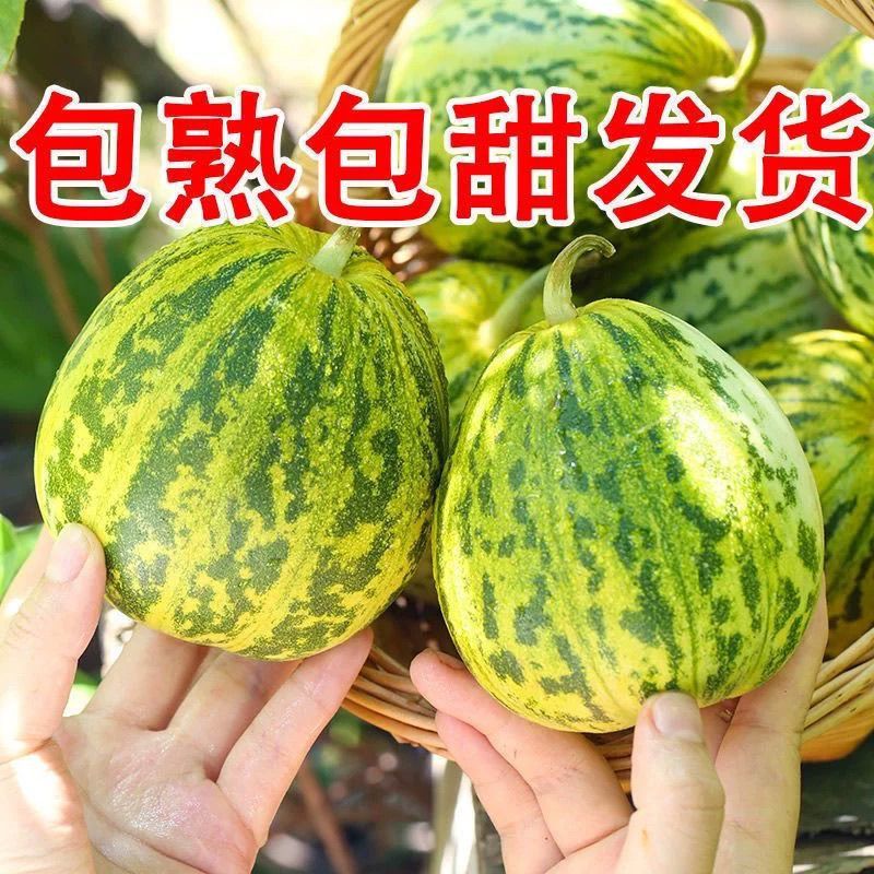 【推荐】花蕾甜瓜花美人蜜甜多汁实力代办代发全国