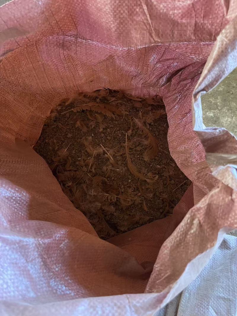 精品货，纯鸡粪，养殖户发货，一手货源，常年有货，量大从优