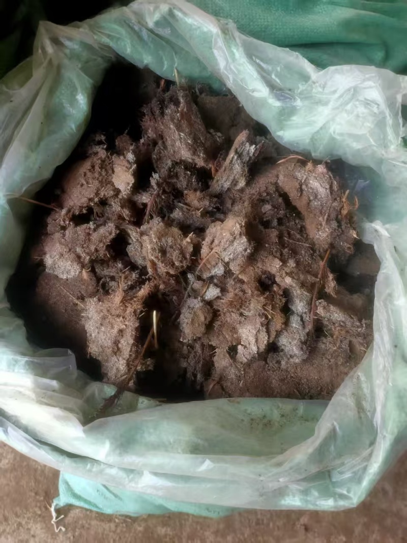 精品货，纯鸡粪，养殖户发货，一手货源，常年有货，量大从优