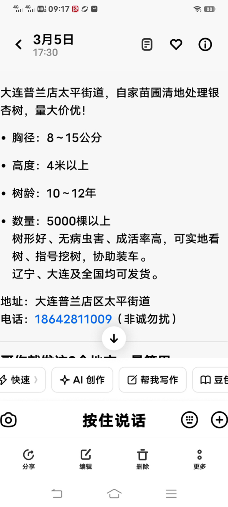辽宁省大连市普兰店区银杏树