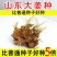 《山东姜种》优质山农一高产姜种/脱毒姜种/上门指导/价优