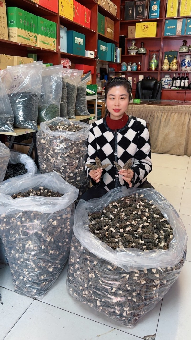 湖北襄阳南漳高山羊肚菌对接全国批发老板欢迎联系