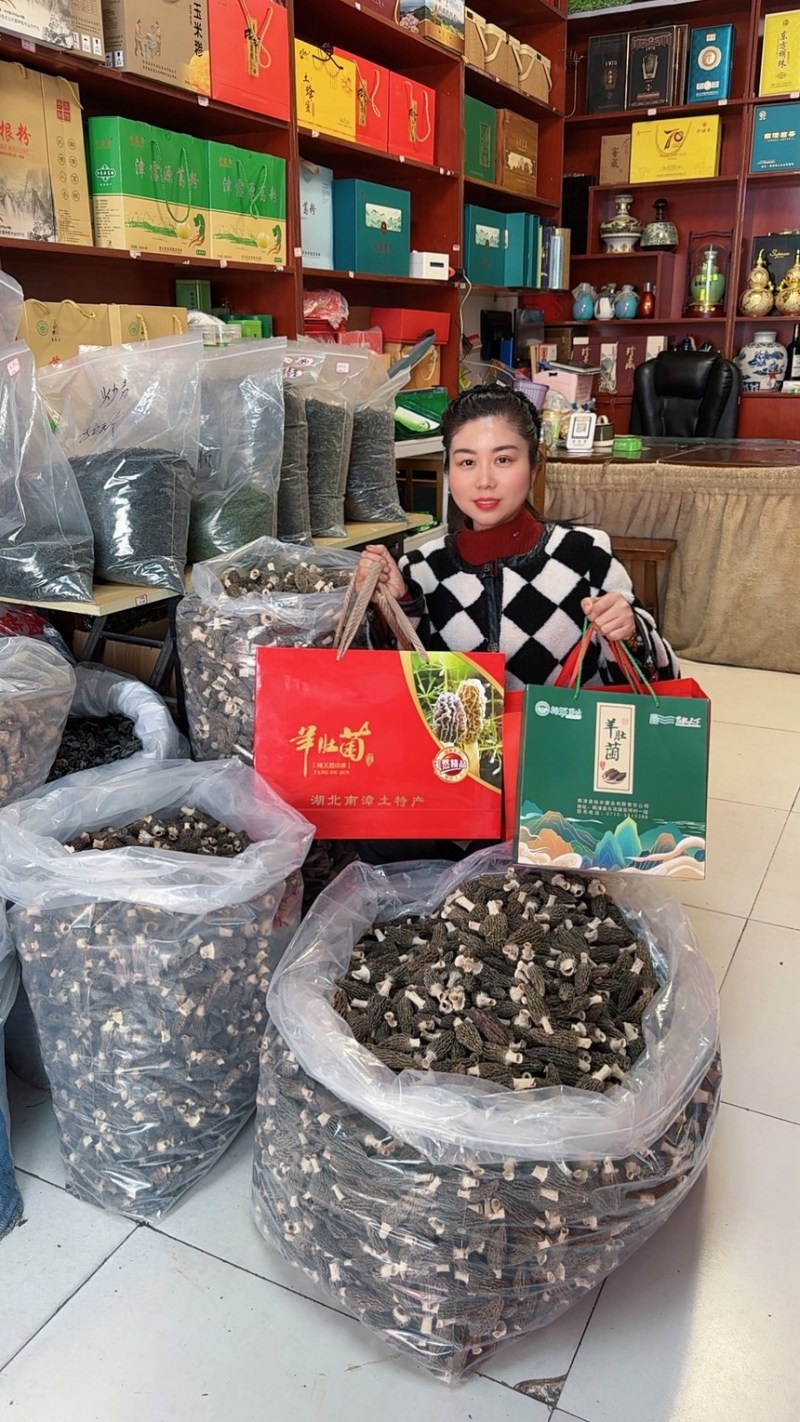 湖北襄阳南漳高山羊肚菌对接全国批发老板欢迎联系