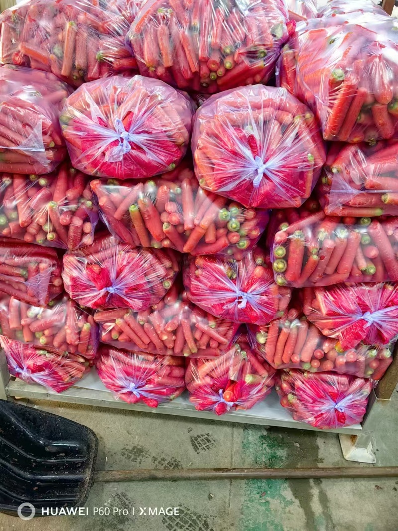 红萝卜