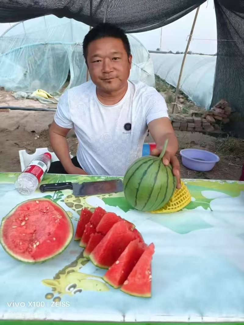 热推陕西蒲城吊兰西瓜938吊兰西瓜包熟包甜实力代发