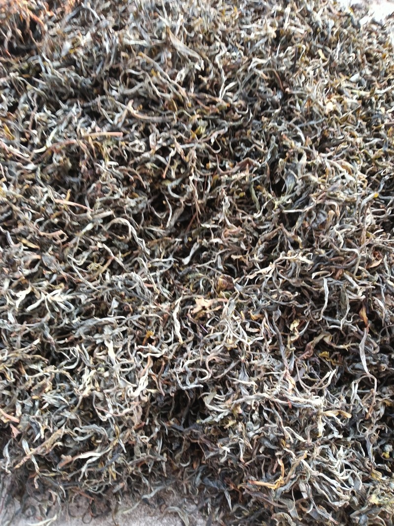 我卖的是纯手工绿茶制作，自家茶园采摘！