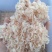 水晶虾/牡丹虾微咸粉色虾皮，一手货源，诚信经营，量大从优