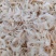 水晶虾/牡丹虾微咸粉色虾皮，一手货源，诚信经营，量大从优