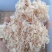 山东淡干无盐虾皮，基地直发，全国供货，可对接各大电商商超