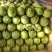 1实力推荐蒲城西瓜金花西瓜基地直供代发全国商超