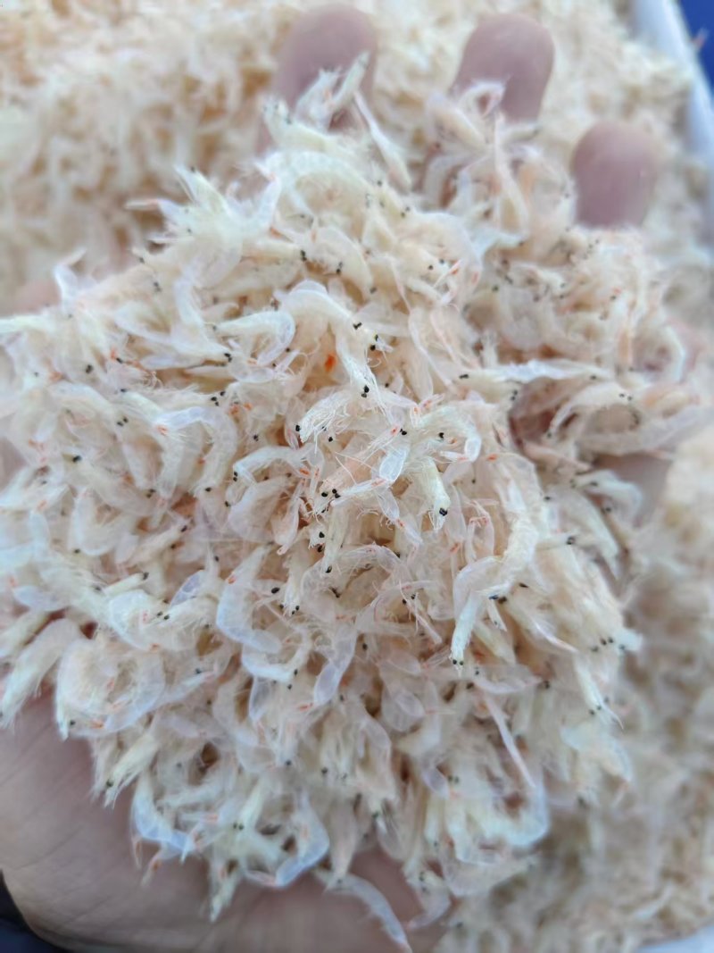 精品淡干无盐虾皮越南淡干虾皮，诚信经营，可视频看货