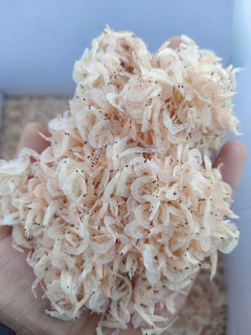 沾化虾皮精品淡干虾皮，产地直发，保质保量，诚信经营