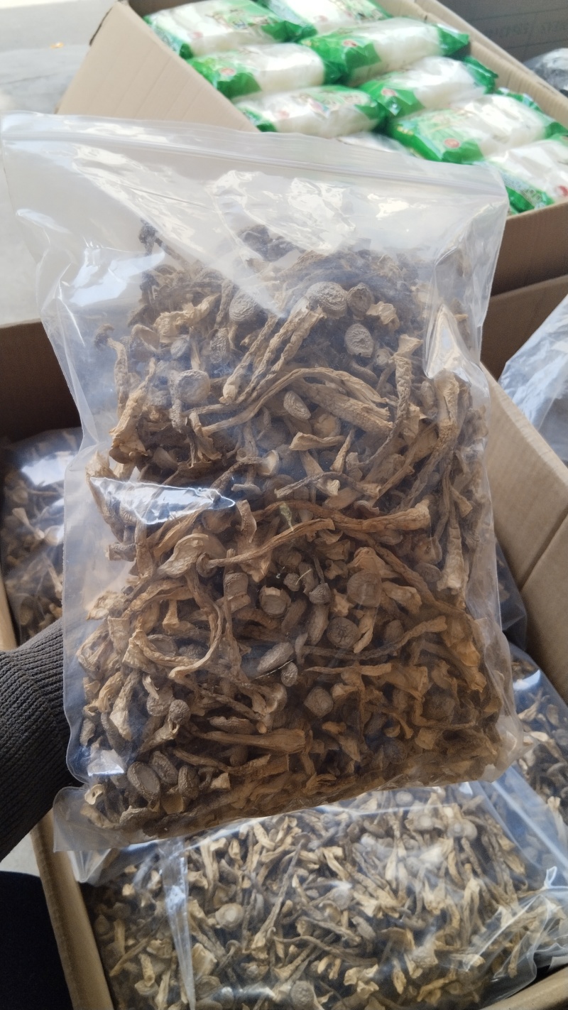 a特级鹿茸菇珍品好货高品质批发零售