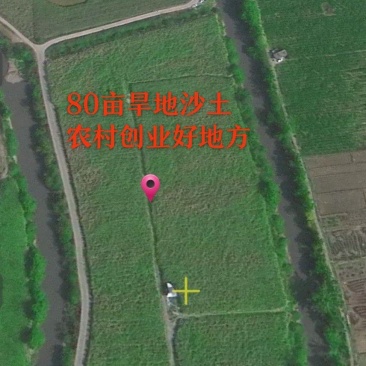 80亩旱地