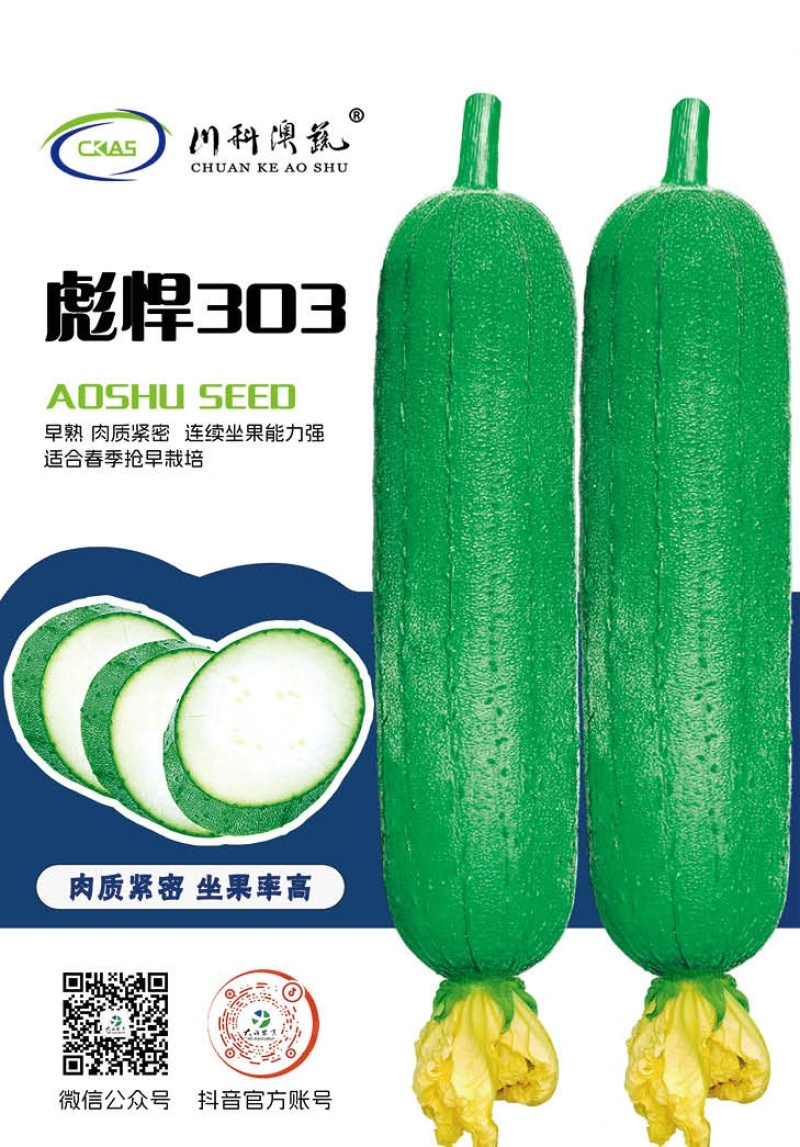 丝瓜种子彪悍303早熟翠绿色短棒丝瓜硬度好结果能力强