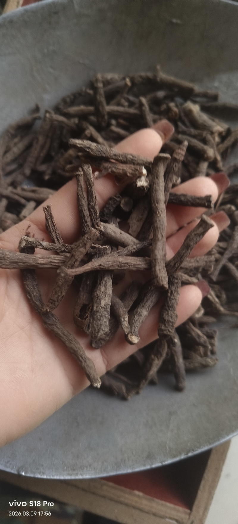 《仙茅》仙茅段水洗实物拍摄干净无杂质物美价廉