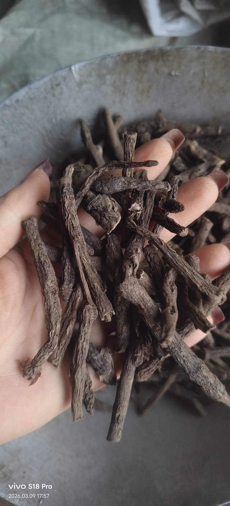 《仙茅》仙茅段水洗实物拍摄干净无杂质物美价廉