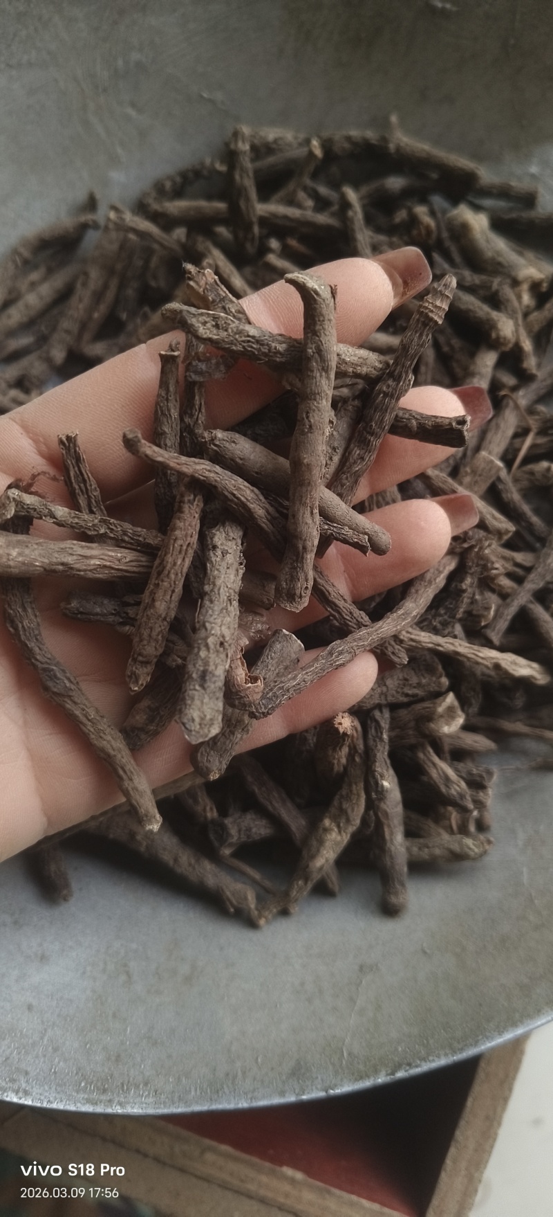 《仙茅》仙茅段水洗实物拍摄干净无杂质物美价廉