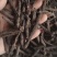 《仙茅》仙茅段水洗实物拍摄干净无杂质物美价廉