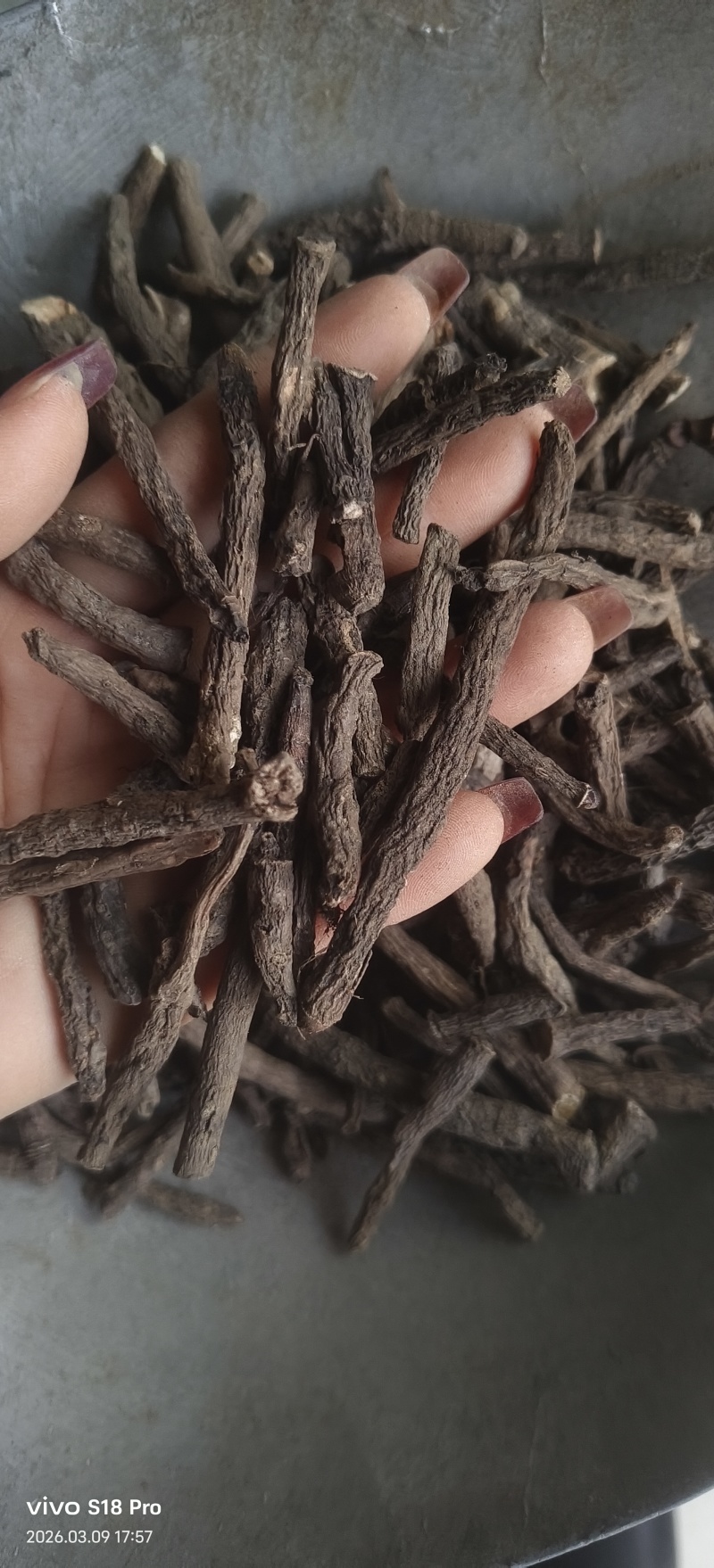 《仙茅》仙茅段水洗实物拍摄干净无杂质物美价廉