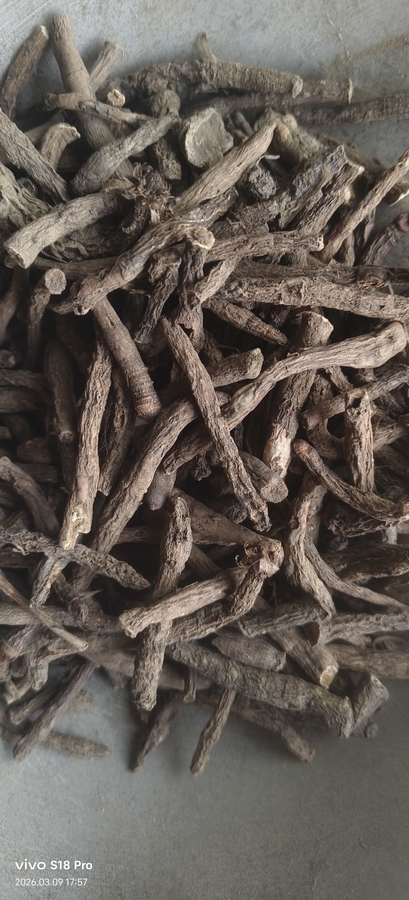 《仙茅》仙茅段水洗实物拍摄干净无杂质物美价廉