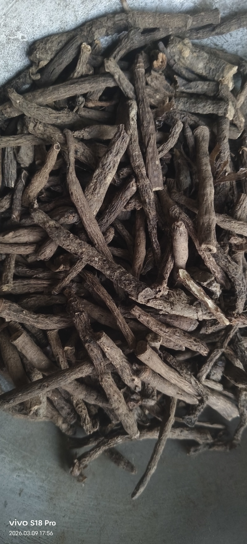 《仙茅》仙茅段水洗实物拍摄干净无杂质物美价廉