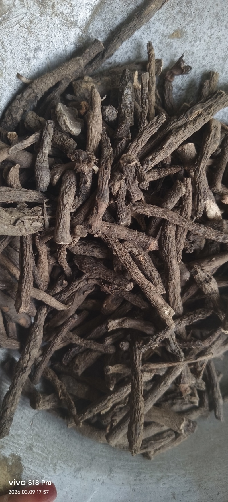 《仙茅》仙茅段水洗实物拍摄干净无杂质物美价廉