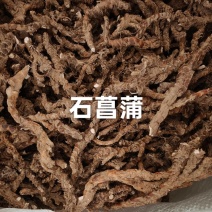 石菖蒲，大别山石菖蒲干