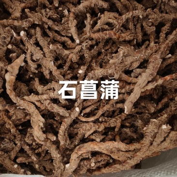 石菖蒲，大别山石菖蒲干