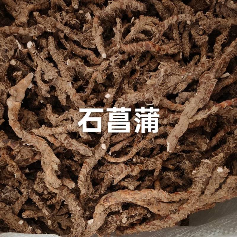 石菖蒲，大别山石菖蒲干
