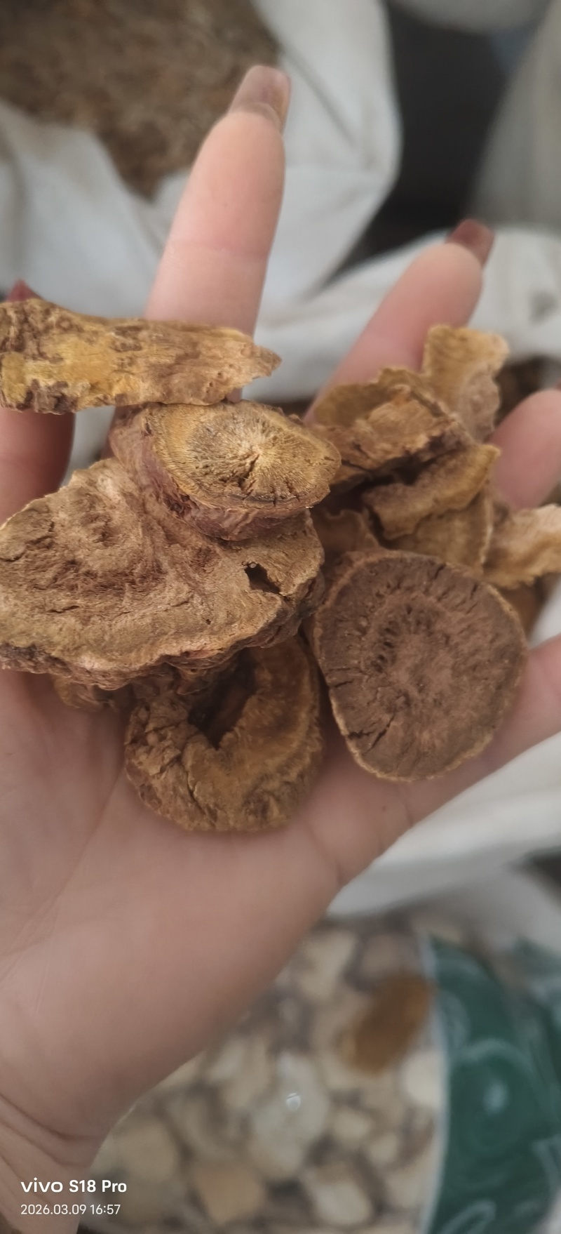 《大黄》手选正品马蹄大黄多种规格可选实物拍摄干净