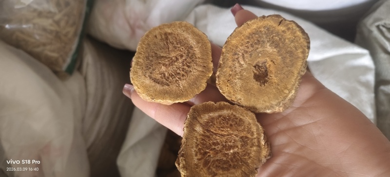 《大黄》手选正品马蹄大黄多种规格可选实物拍摄干净