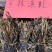 批发