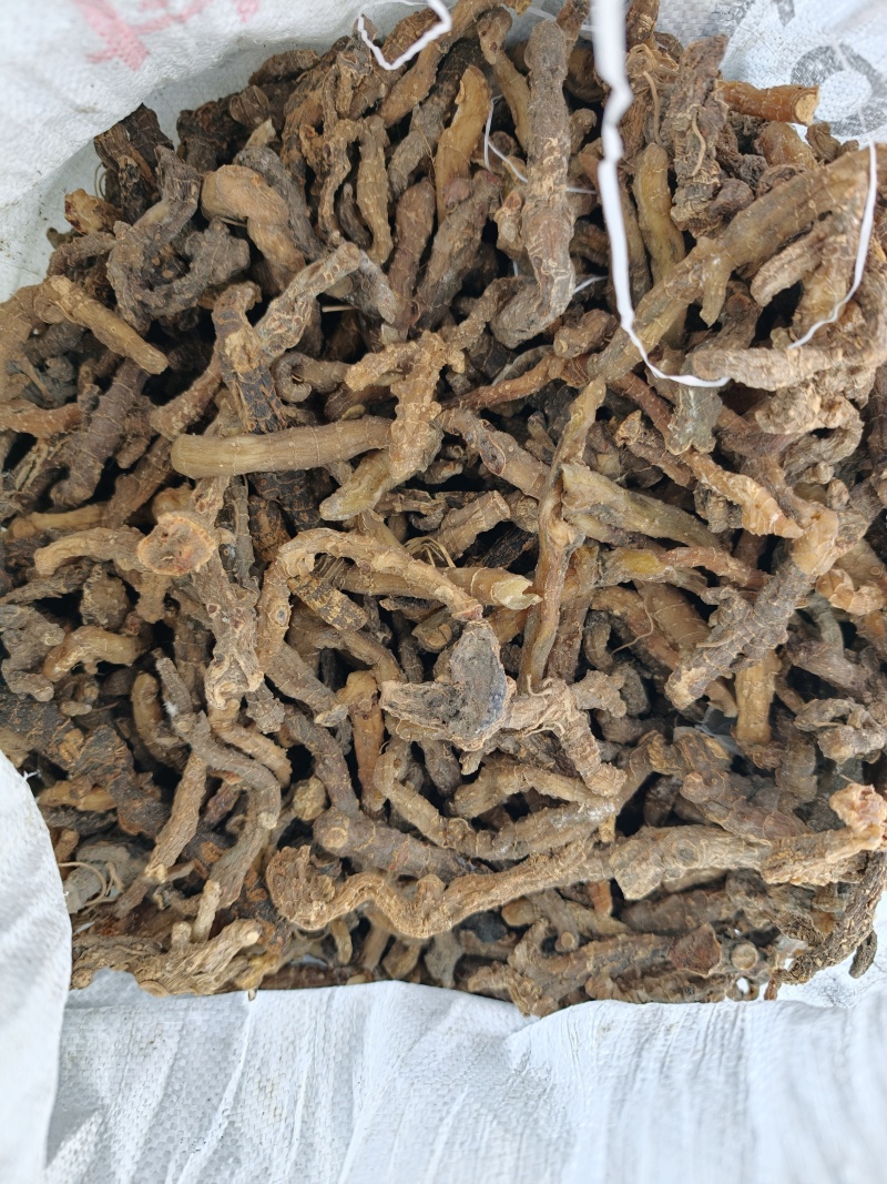 黄精，野生黄精