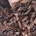 《醋香附》醋香附片干净无杂质过6号筛