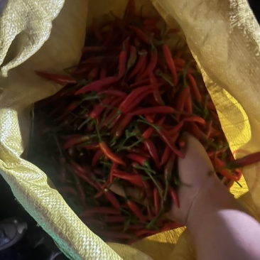 电商小米椒朝天椒产地直发全国发货