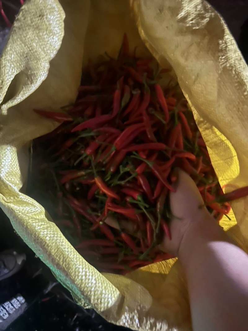 电商小米椒朝天椒产地直发全国发货