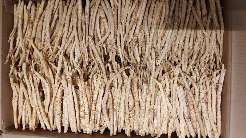 精品北沙参干货规格齐全质量保证一手货源可电话咨询