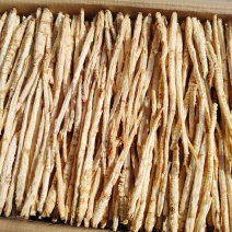 精品北沙参干货规格齐全质量保证一手货源可电话咨询