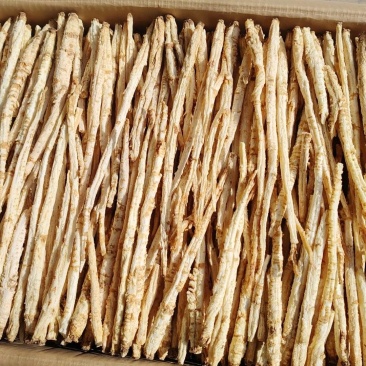 精品北沙参干货规格齐全质量保证一手货源可电话咨询