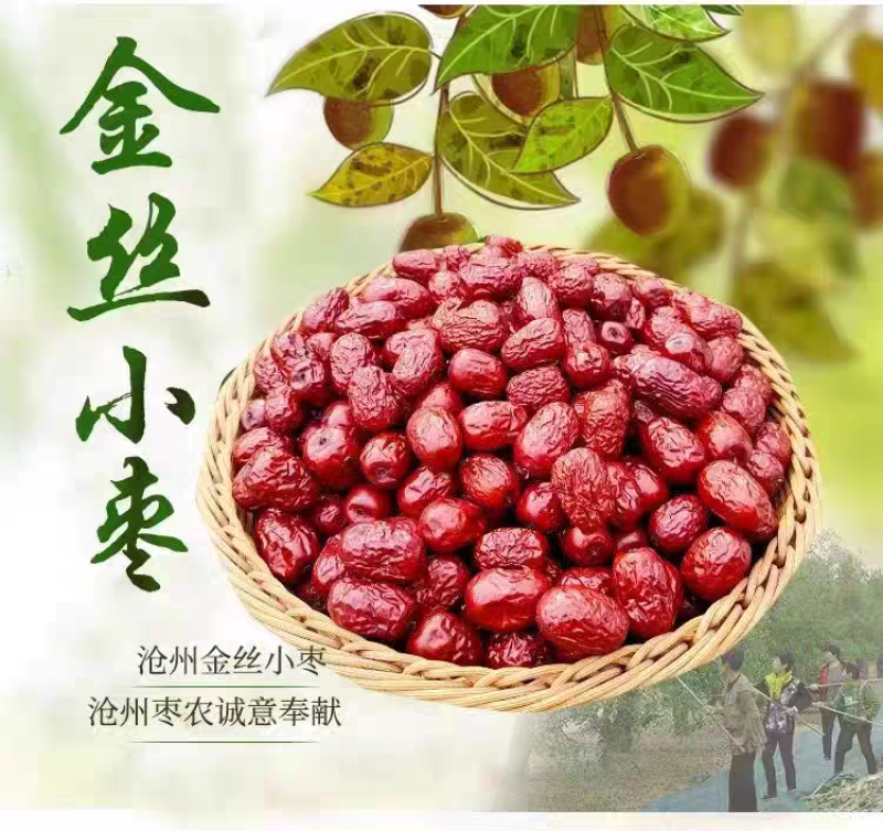 包邮【新货】沧州金丝小枣农家自产自销小红枣优质红枣煲汤