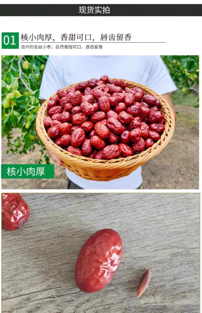 包邮【新货】沧州金丝小枣农家自产自销小红枣优质红枣煲汤